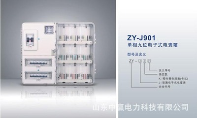 【单相九位电表箱厂家直销,山东济南三相单表位计量箱】价格,厂家,图片,配电箱,山东中赢电力科技-